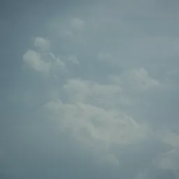 DSC05736
