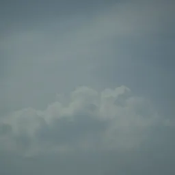 DSC05737
