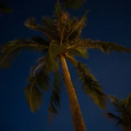 DSC06043