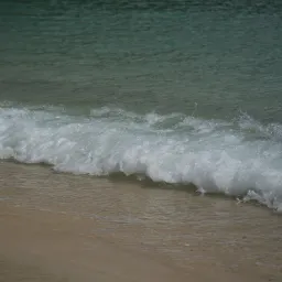 DSC06171