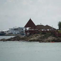 DSC06203