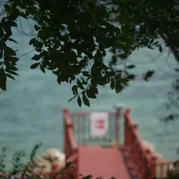 DSC06264