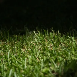 DSC06266
