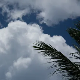 DSC06500