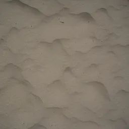 DSC06580