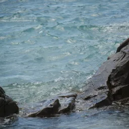 DSC06612