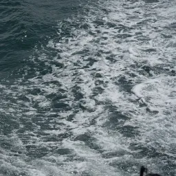 DSC06825