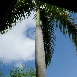 DSC06932