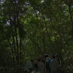 DSC07018