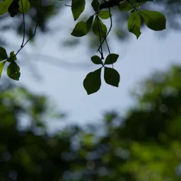 DSC07043