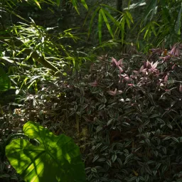 DSC07059
