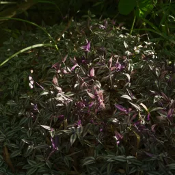 DSC07060