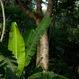 DSC07268