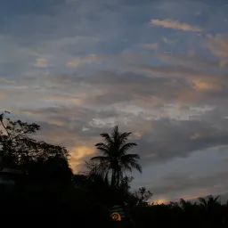 DSC07419