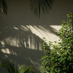 DSC07435