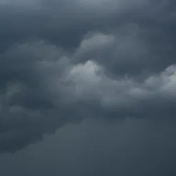 DSC07886