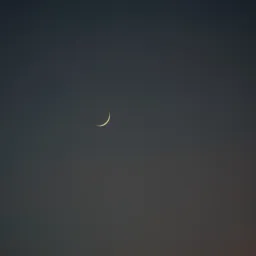 DSC07910