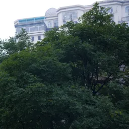 DSC08082