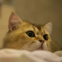 DSC08370