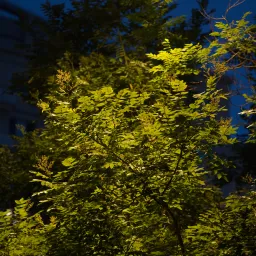 DSC08441