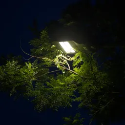 DSC08443
