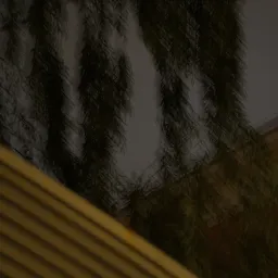 DSC08506