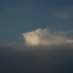 DSC09061
