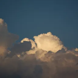 DSC09092