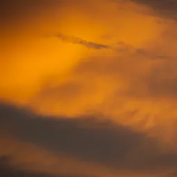 DSC09200