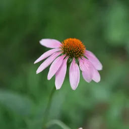 DSC09455