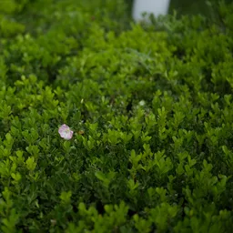 DSC09561