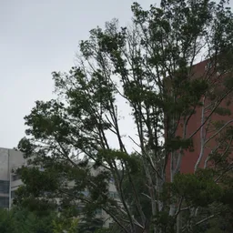 DSC09564
