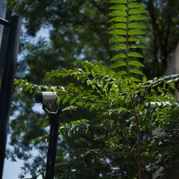 DSC00030