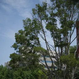 DSC00039