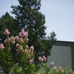 DSC00050