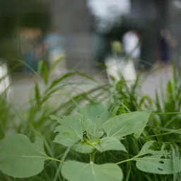 DSC00080