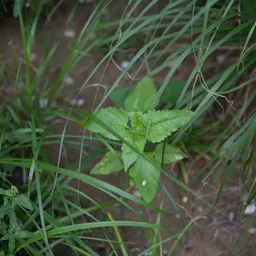 DSC00114