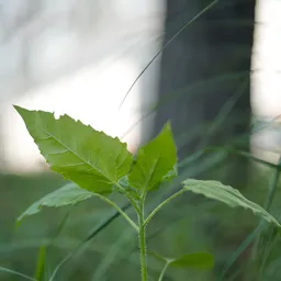DSC00327