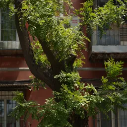 DSC00542