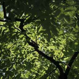 DSC00585