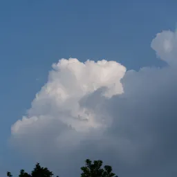 DSC01021