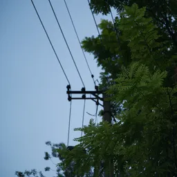 DSC01242