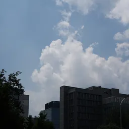 DSC01281