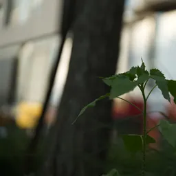 DSC01348