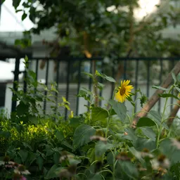 DSC01361