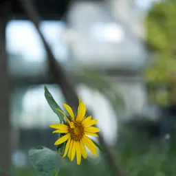 DSC01376