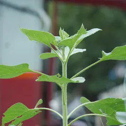DSC01436