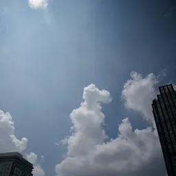 DSC01464