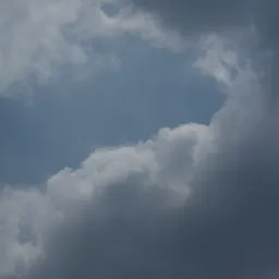 DSC01575