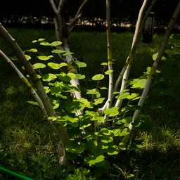 DSC01668